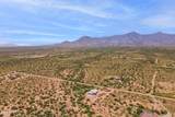 8557 Calle Mia - Photo 49