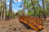 2912 Creekside Drive - Photo 83