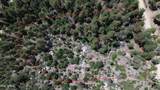 4825 Vulture Bend Drive - Photo 1