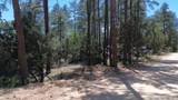 4825 Vulture Bend Drive - Photo 10
