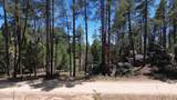 4825 Vulture Bend Drive - Photo 11