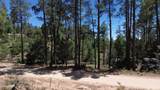 4825 Vulture Bend Drive - Photo 12