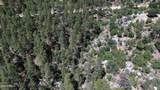 4825 Vulture Bend Drive - Photo 16