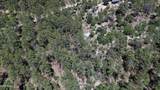 4825 Vulture Bend Drive - Photo 17
