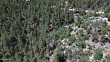 4825 Vulture Bend Drive - Photo 18