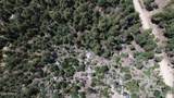 4825 Vulture Bend Drive - Photo 23