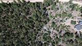 4825 Vulture Bend Drive - Photo 25