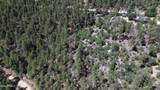 4825 Vulture Bend Drive - Photo 28