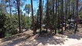 4825 Vulture Bend Drive - Photo 30