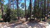 4825 Vulture Bend Drive - Photo 31