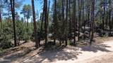 4825 Vulture Bend Drive - Photo 32