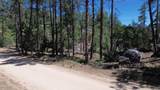 4825 Vulture Bend Drive - Photo 33