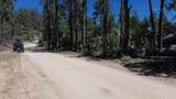 4825 Vulture Bend Drive - Photo 8