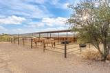 45589 San Domingo Peak Trail - Photo 56