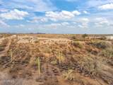 45589 San Domingo Peak Trail - Photo 61