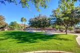 6528 Via Montoya Drive - Photo 38