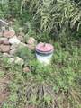 00 Soaptree Lane - Photo 11