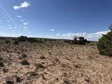 TBD County Rd N7207 - Photo 1