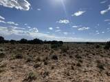 TBD County Rd N7207 - Photo 12