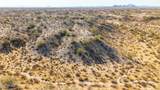 29515 Radford Road - Photo 13