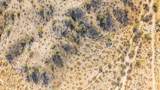 29515 Radford Road - Photo 15