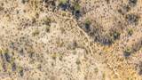 29515 Radford Road - Photo 16