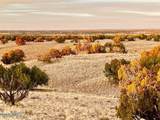 Woodland Valley Ranch Lot 902 - Photo 15