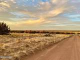 Woodland Valley Ranch Lot 902 - Photo 8