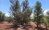 67 Ranch Road - Photo 16
