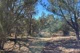 918 Wolf Road - Photo 1