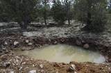 918 Wolf Road - Photo 19