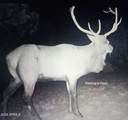 918 Wolf Road - Photo 21