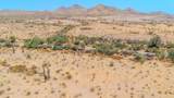 2121 Sonoran Desert Drive - Photo 53