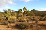 5838 Diamond Bar Road - Photo 8