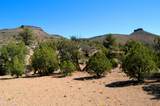 5838 Diamond Bar Road - Photo 9