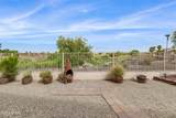 11564 Mule Deer Court - Photo 26