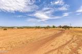 6786 Plumb Lane - Photo 4