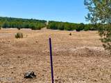 0 Stagecoach Dr 47 Acres - Photo 16