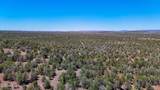 0 Stagecoach Dr 47 Acres - Photo 23