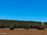 0 Stagecoach Dr 47 Acres - Photo 24
