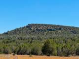 0 Stagecoach Dr 47 Acres - Photo 25