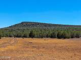 0 Stagecoach Dr 47 Acres - Photo 26