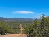 0 Stagecoach Dr 47 Acres - Photo 4