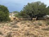 4325 Pine Drive - Photo 8