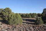 8623 Tbd County Road 8623 - Photo 2