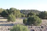 8623 Tbd County Road 8623 - Photo 3