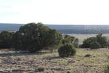 8623 Tbd County Road 8623 - Photo 4