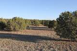 8623 Tbd County Road 8623 - Photo 6