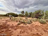 3727 Jay Road - Photo 12