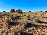 0 N7009 40 Acres - Photo 12